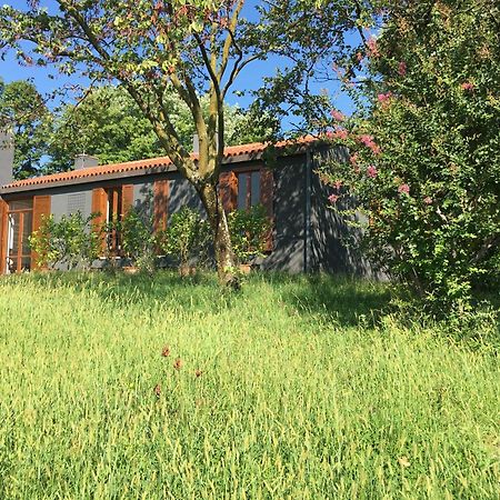 Villa Tugurio. La Tua Casa Immersa Nel Verde Grumolo Pedemonte エクステリア 写真