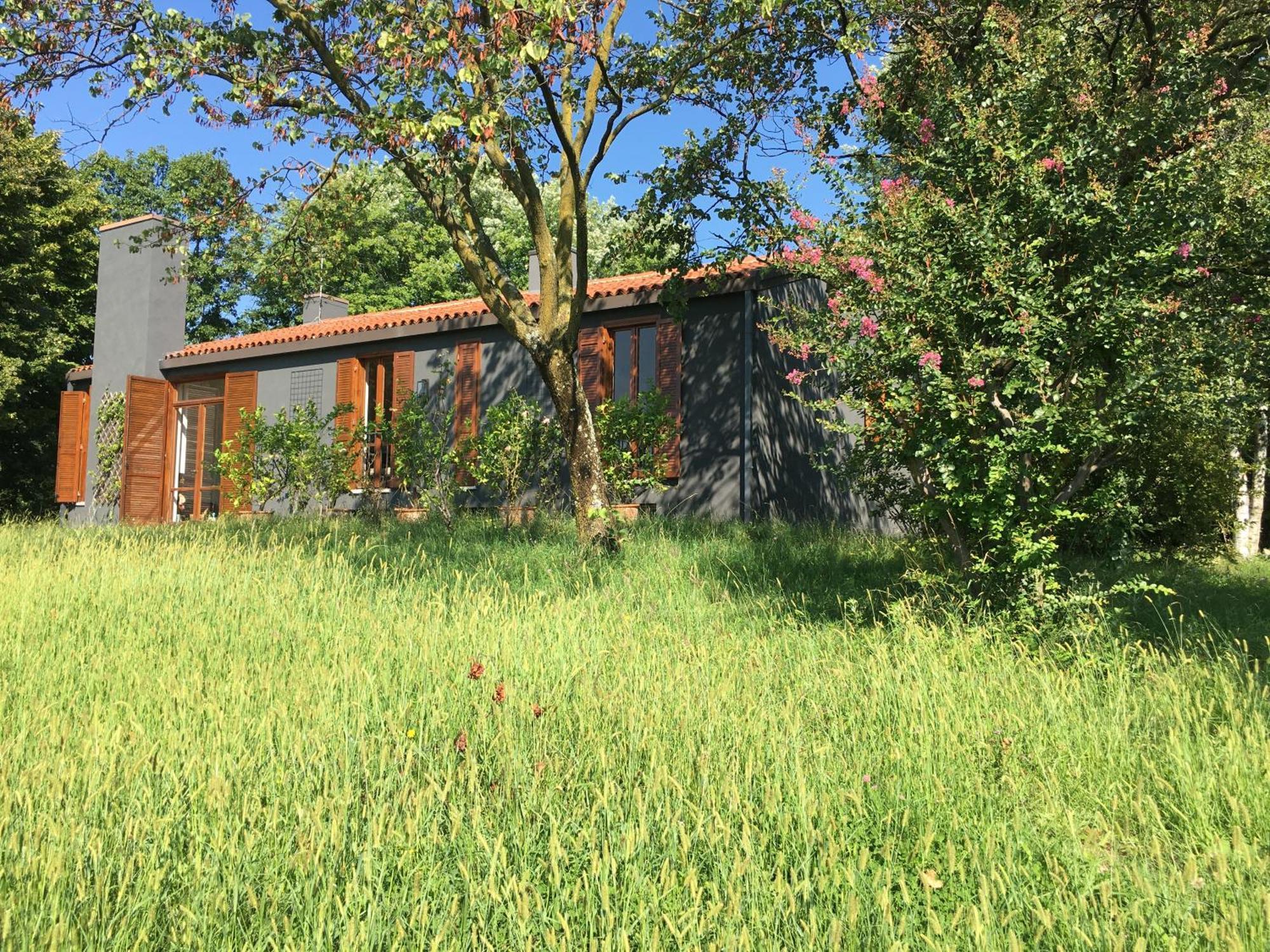 Villa Tugurio. La Tua Casa Immersa Nel Verde Grumolo Pedemonte エクステリア 写真