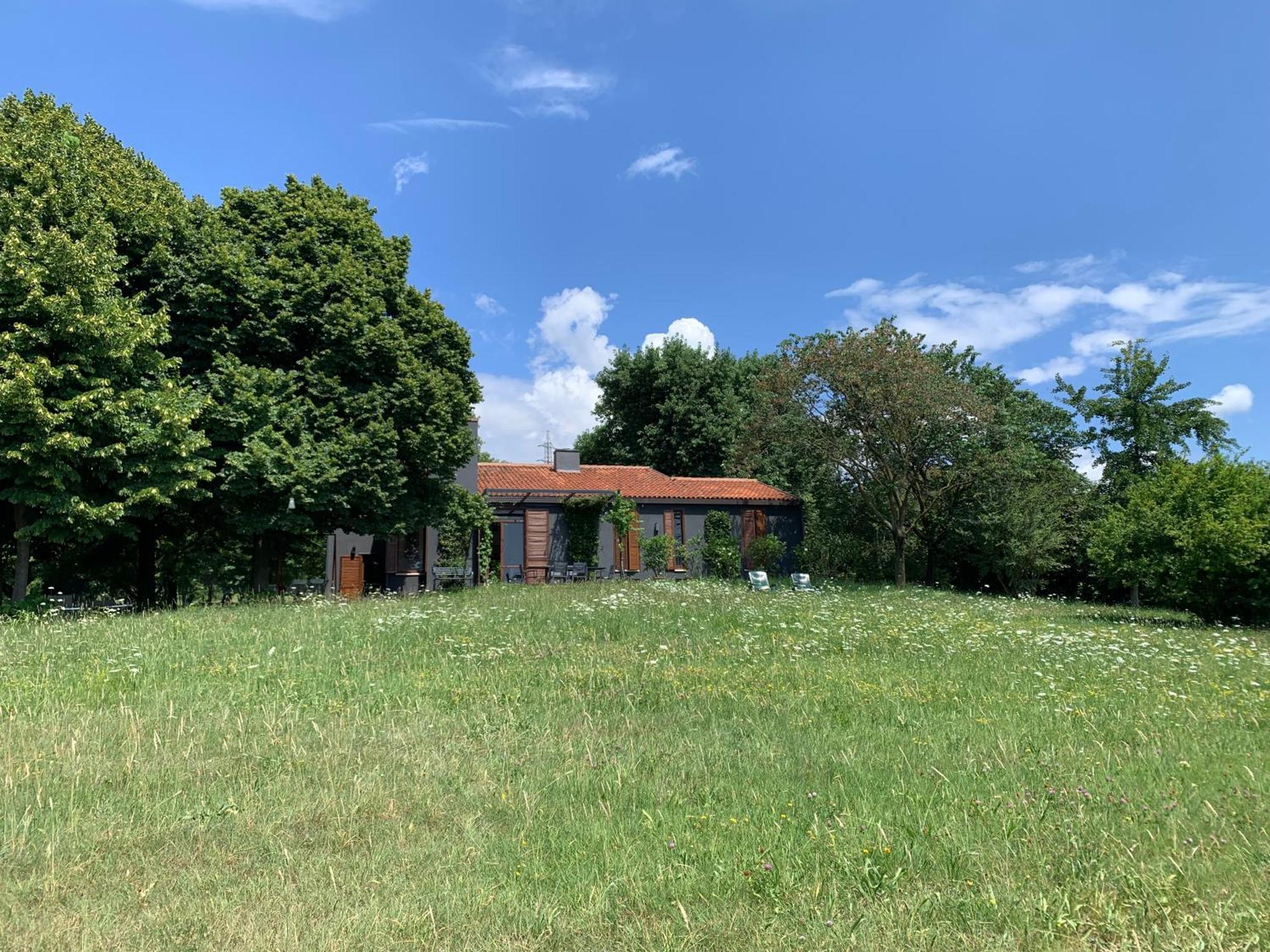 Villa Tugurio. La Tua Casa Immersa Nel Verde Grumolo Pedemonte エクステリア 写真