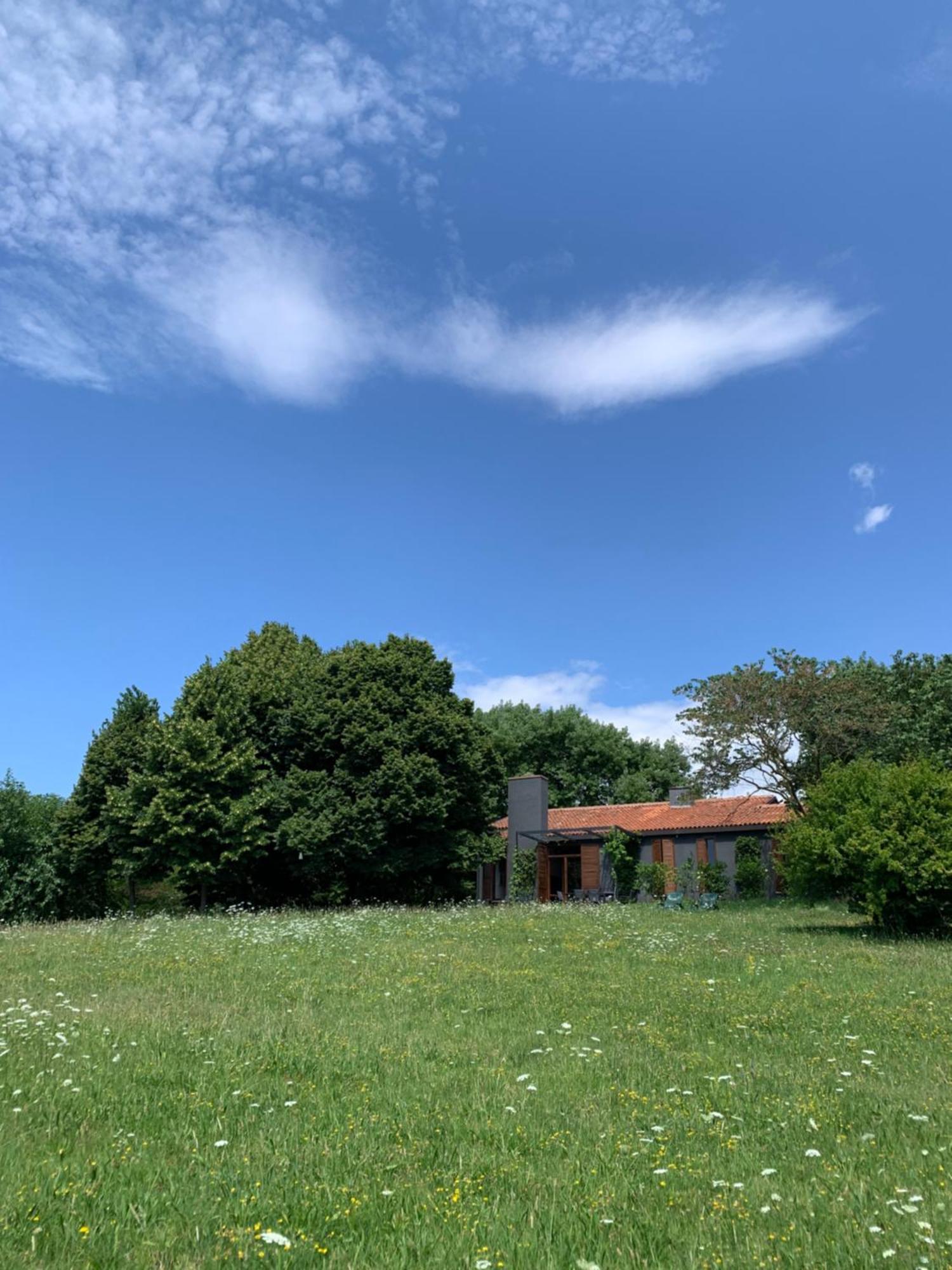 Villa Tugurio. La Tua Casa Immersa Nel Verde Grumolo Pedemonte エクステリア 写真